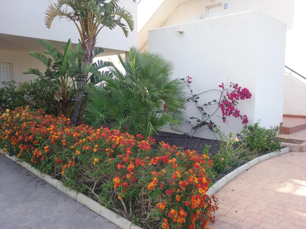 Apartamento Junto Al Mar En La Costa De Almeria El Pozo del Esparto Zewnętrze zdjęcie